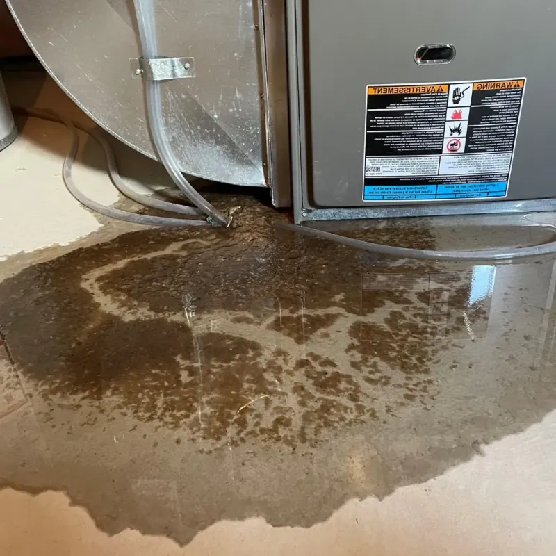 Pipe Burst and Leak Restoration in West Concord, MA