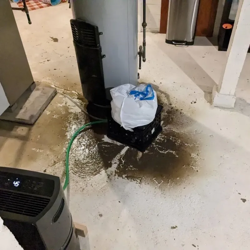 Sewage Backup Cleanup Service in West Concord, MA